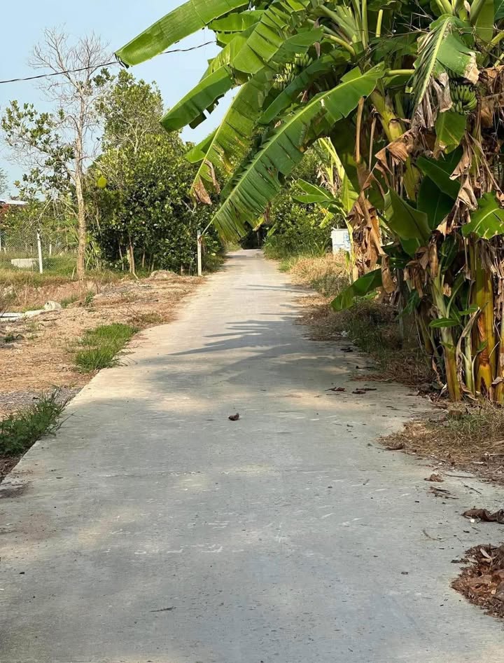 Đất nông nghiệp 2971m² tại Hòa Thành - Giá chỉ 1.16 tỷ, thuận tiện đường xe 7 chỗ!