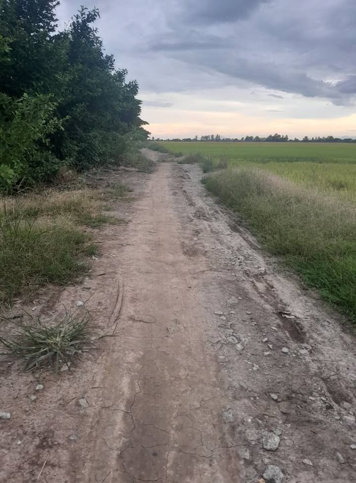 Đất nông nghiệp 4000m² tại Cần Đăng, Châu Thành, An Giang - Giá chỉ 160 triệu!