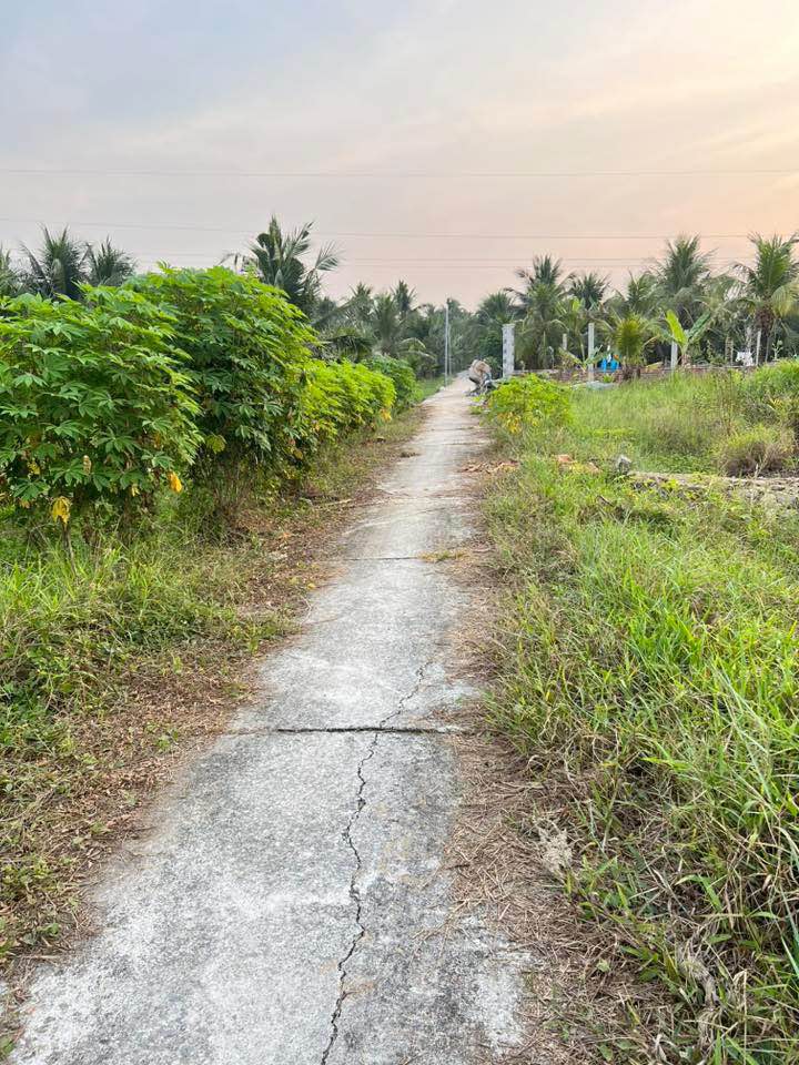 Đất nền TTC Hữu Định Bến Tre 500m² giá chỉ 500 triệu - Cơ hội đầu tư tuyệt vời!