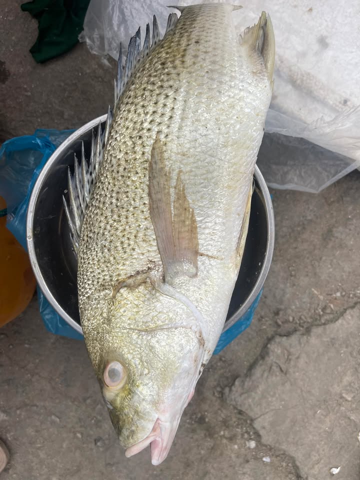 Đất nền sát biển Đà Nẵng 235m² giá 2.35 tỷ - Đầu tư tiềm năng ngay hôm nay!