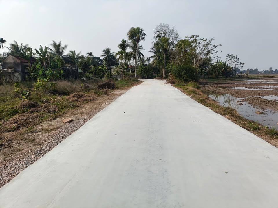 Đất nền Quảng Văn 126m² giá chỉ 2xx triệu - View cánh đồng mát mẻ!