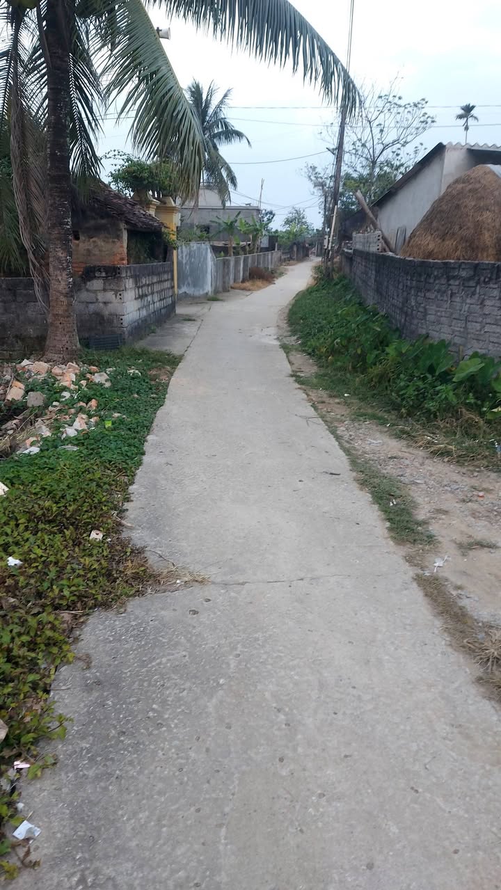 Bán lô đất thôn Đông Hòa, Hậu Lộc 1600m² - Đầu tư sinh lời ngay!