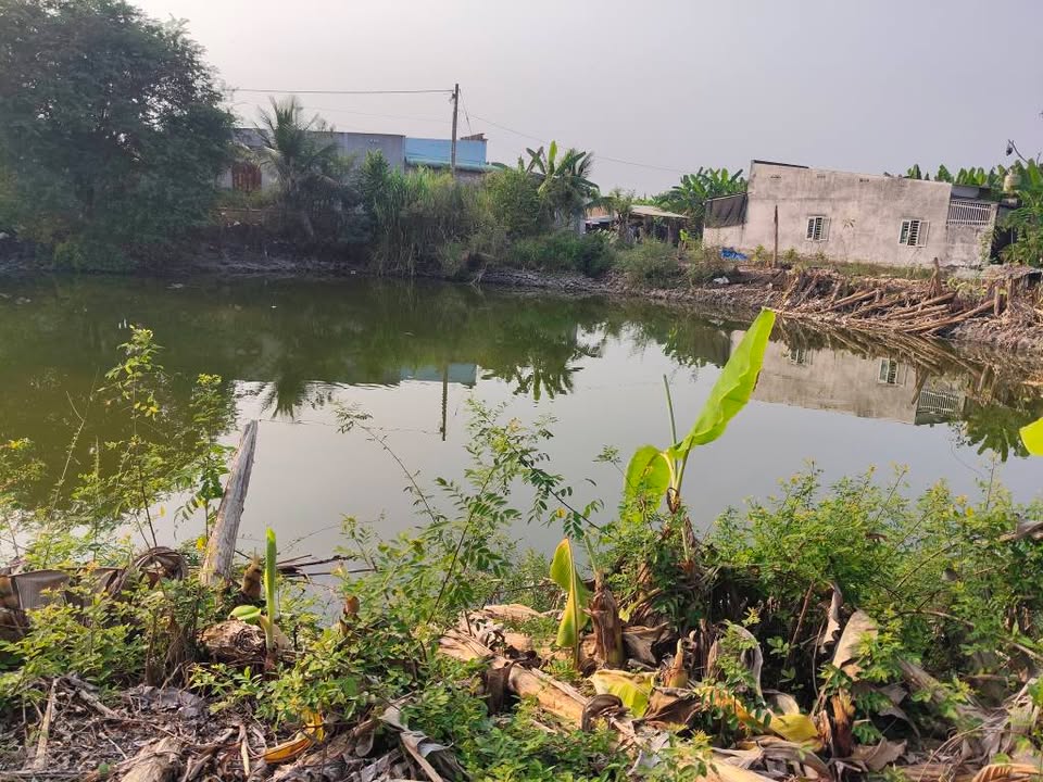 Đất Farm 3000m² xã Vĩnh Tân, Đồng Nai chỉ 1.25 tỷ - Giá hạ gấp, cơ hội vàng cho đầu tư!