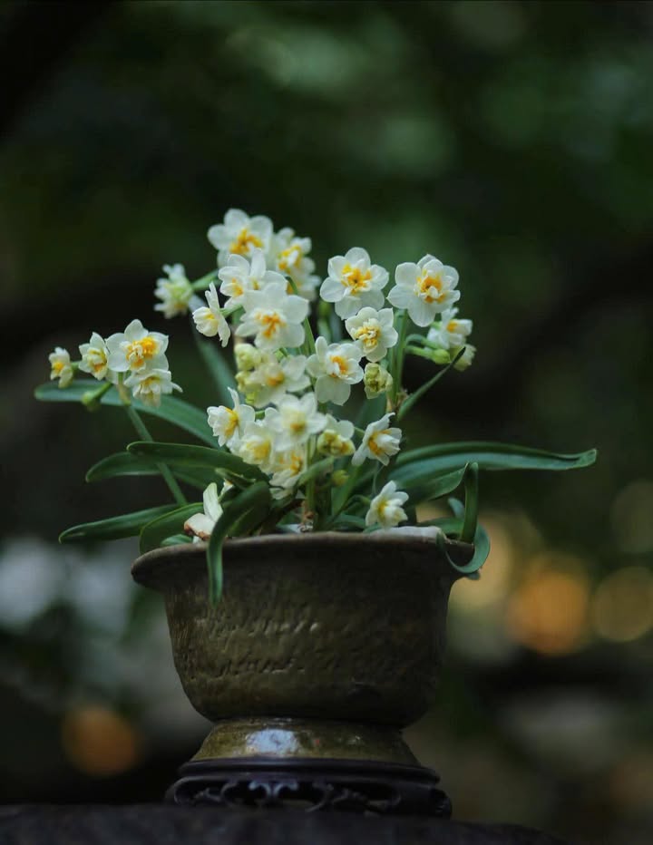 Lô đất giãn dân Yên Mẫn, Bắc Ninh 75m² giá 6.x tỷ - Chính chủ bán gấp!