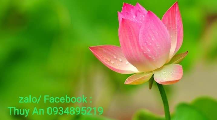 Lô đất đường Võ Duy Dương Đà Nẵng 100m² giá 4.x tỷ - Đầu tư sinh lời ngay!