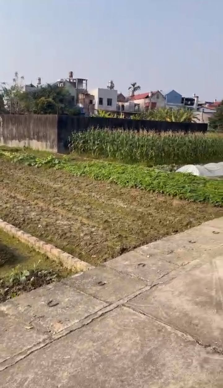 Đất nền Phường Bãi Bông, 90.5m² giá chỉ 7xx triệu - Cơ hội đầu tư tuyệt vời!