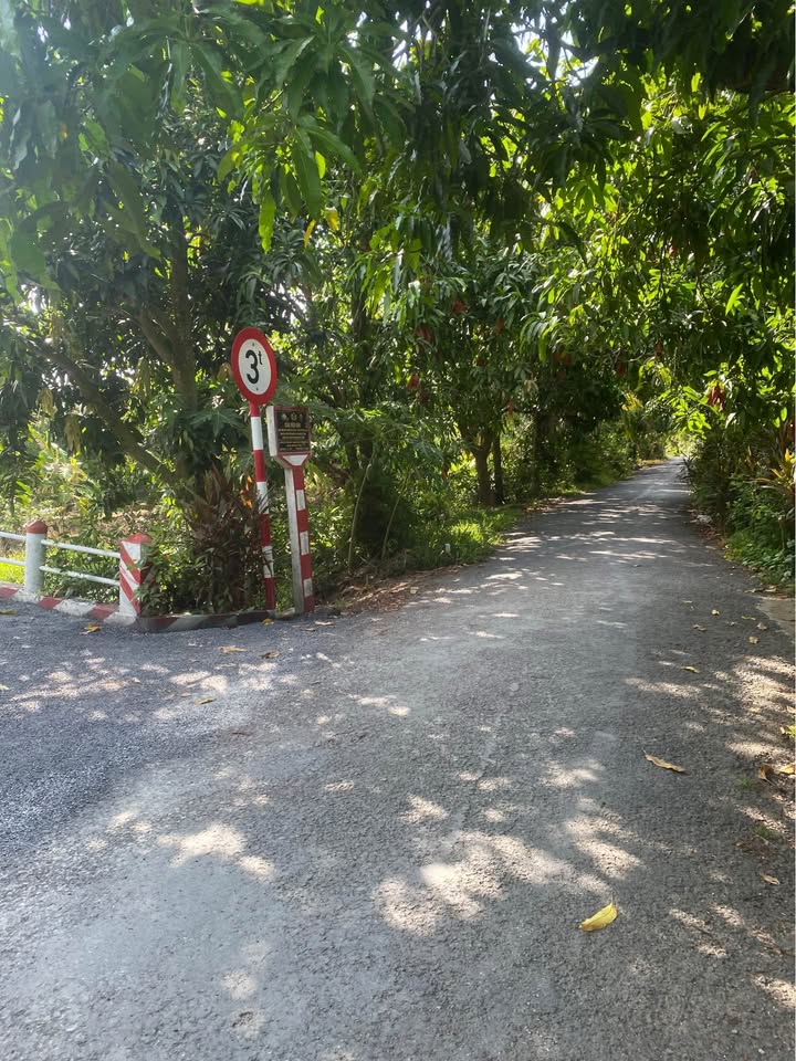 Đất nền mặt tiền đường nhựa Xã Mỹ Xương 1540m² giá 1.85 tỷ - Cơ hội đầu tư lý tưởng!