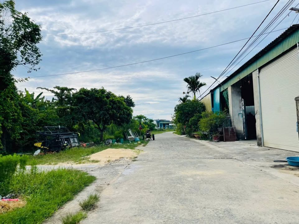 Đất thổ cư thôn 8, Cẩm Quang, 248m² giá 950 triệu - Vị trí tiềm năng gần Quốc lộ 1A!