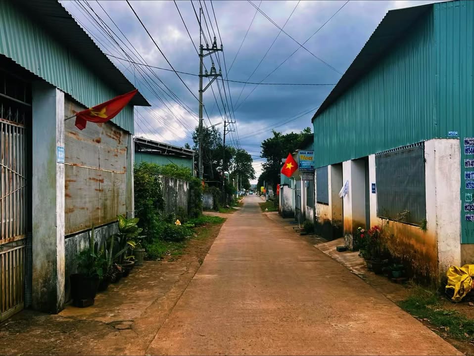 Đất thổ cư 239m² hẻm Kí Con, Pleiku chỉ 1.9 tỷ - Đầu tư sinh lời!