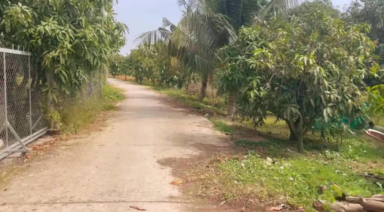 Đất vườn 2 công tại Ấp 3, Xã Vĩnh Xương, An Giang - Giá chỉ từ 300 triệu/công!