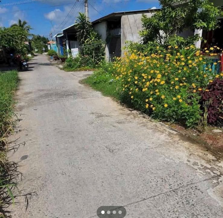 Đất nền Ấp 7, Xã Nhựt Chánh, Bến Lức 235m² giá 1.149 tỷ - Đầu tư sinh lời ngay!