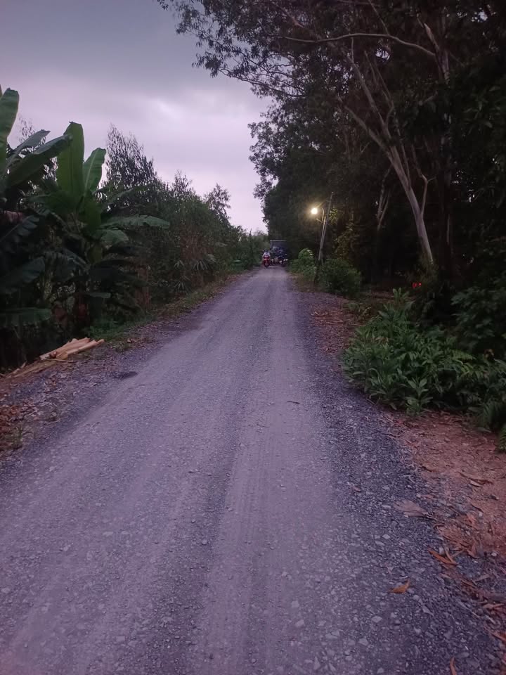 Đất nền 7 công xã Tân Phước 10.5 tỷ - Mặt tiền đường lớn, cơ hội đầu tư hấp dẫn!