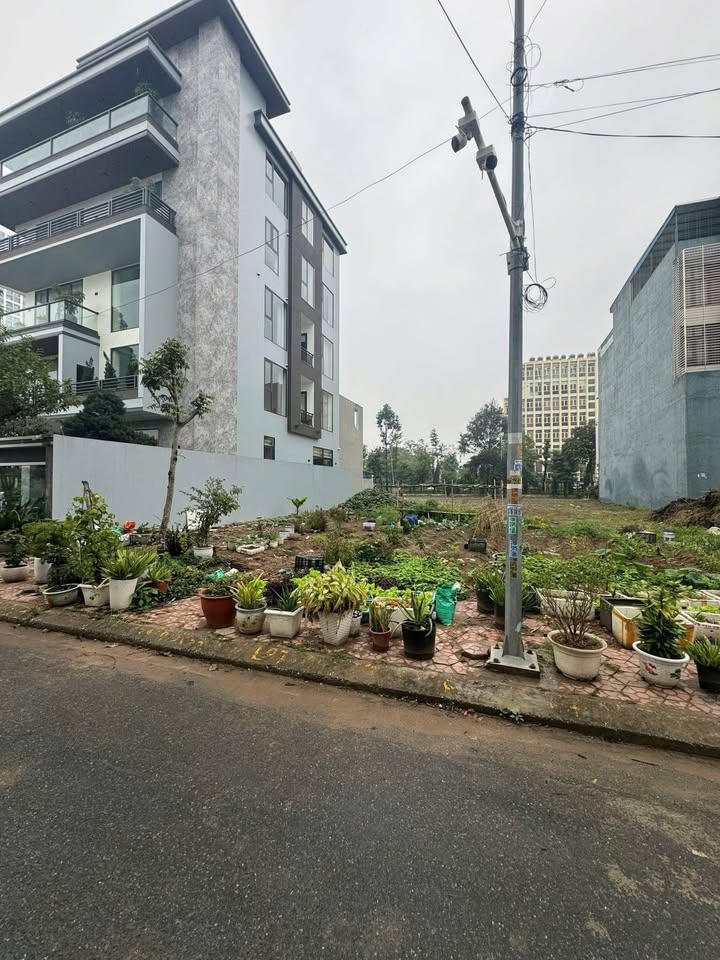 Đất phân lô Hồng Bàng, Hải Phòng 100m² giá 8 tỷ - Cơ hội đầu tư hiếm có!