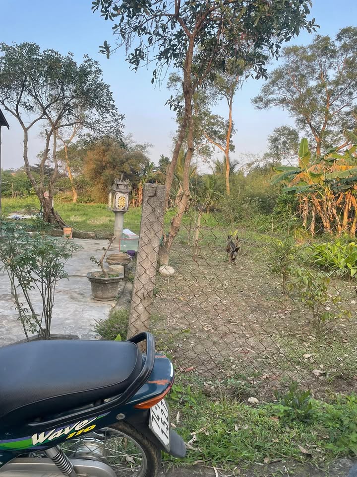 Đất nền liền kề 186m² tại Xã Thanh An - Giá chỉ 300 triệu, thương lượng trực tiếp với chủ!