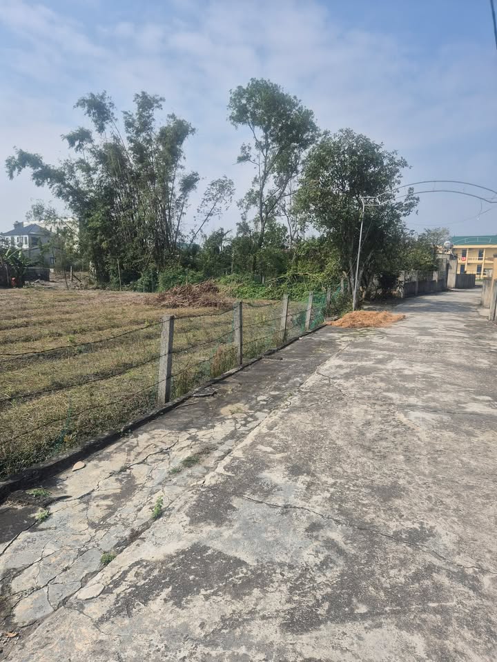 Đất nền Quốc lộ 15B, Thạch Hà 594m² giá 1.5 tỷ - Cơ hội đầu tư tuyệt vời!