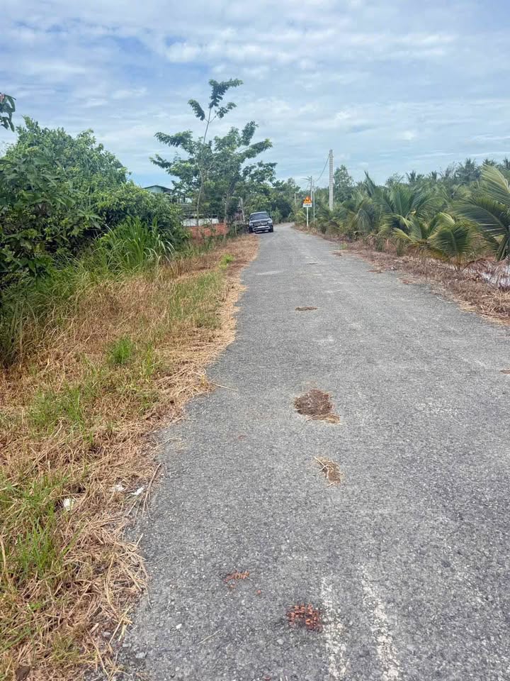 Đất bán tại Hòa Tịnh, Mang Thít 4.853m² giá 2.5 tỷ - Cơ hội đầu tư hấp dẫn!