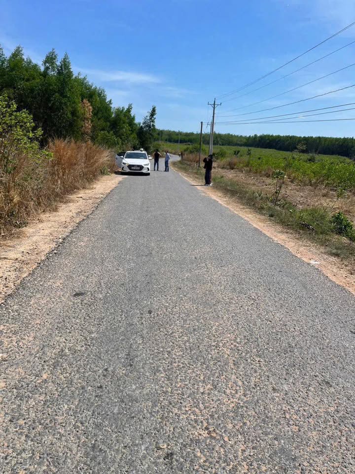 Đất Nông Nghiệp 1000m² tại Hàm Chính - Đức Linh - Giá chỉ 279 triệu