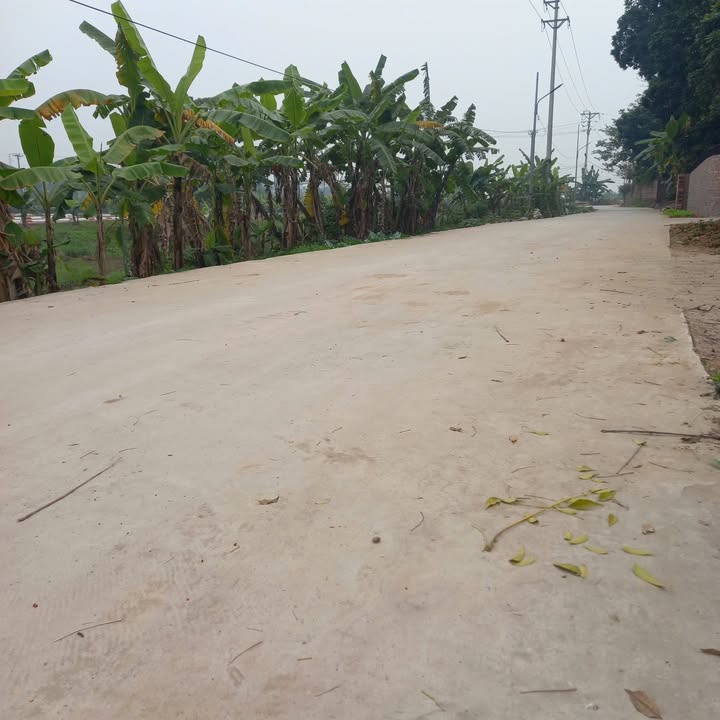 Đất thổ cư Nguyễn Văn Linh, Việt Trì 272.5m² giá 7 tỷ - Đường ô tô tránh nhau thoải mái!