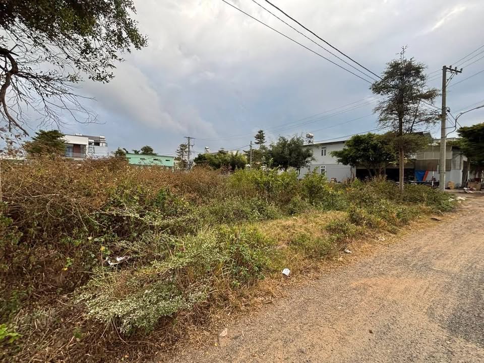 Đất thổ cư Phú Hội, Đức Trọng 112m² giá 1.7 tỷ - An ninh tốt, giao thông thuận tiện!