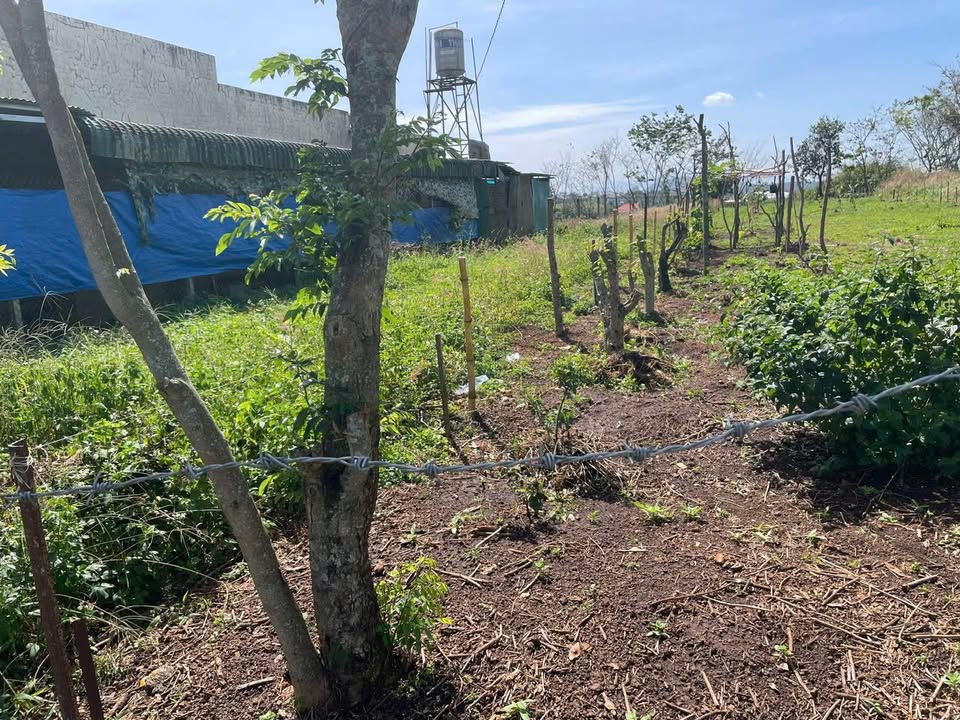 Đất nền Nghĩa Hiệp Đức Trọng 700m² giá 2.8 tỷ - Sổ hồng chính chủ, sẵn sàng giao dịch!