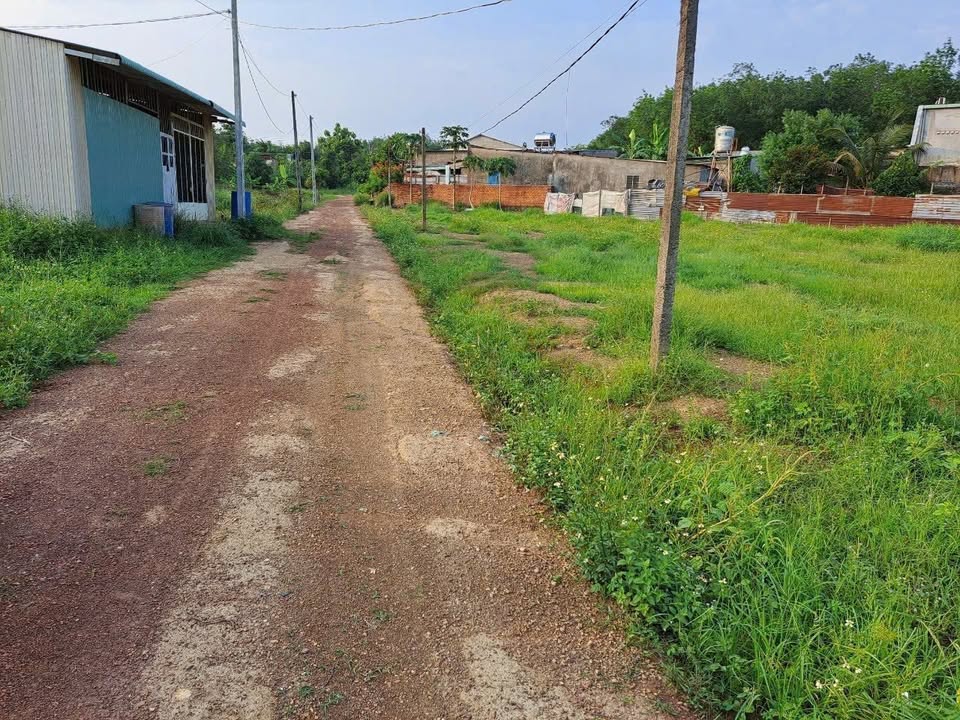 Đất nền Tân Xuân 300m² giá 1.3 tỷ - Đầu tư sinh lời ngay!