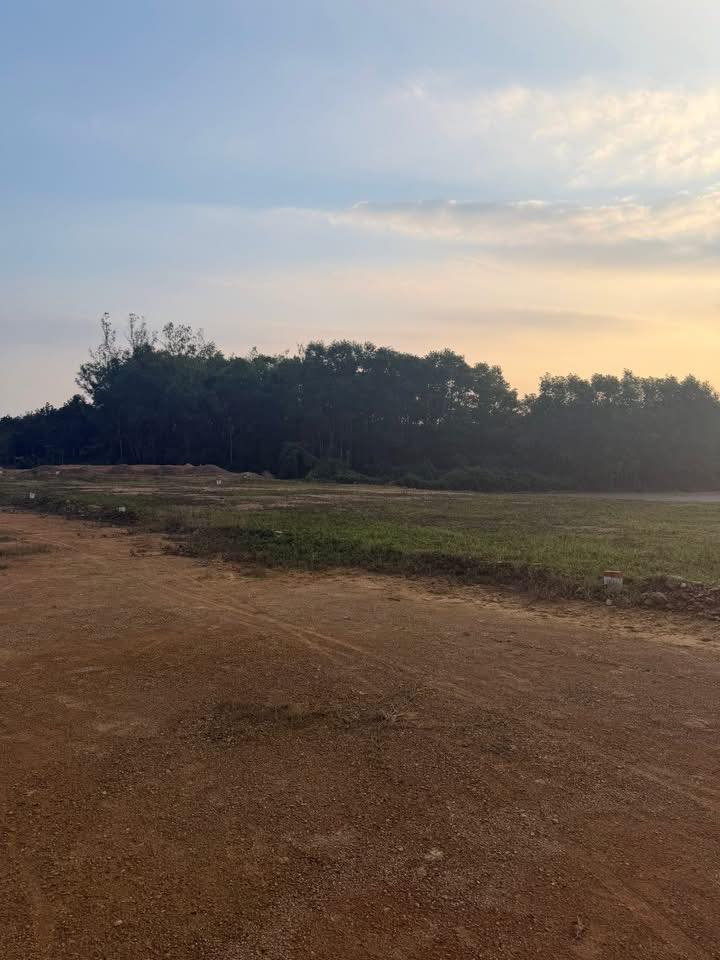 Bán lô đất Thanh An, Huyện Cam Lộ 175m² giá 850 triệu - Cơ hội đầu tư không thể bỏ lỡ!