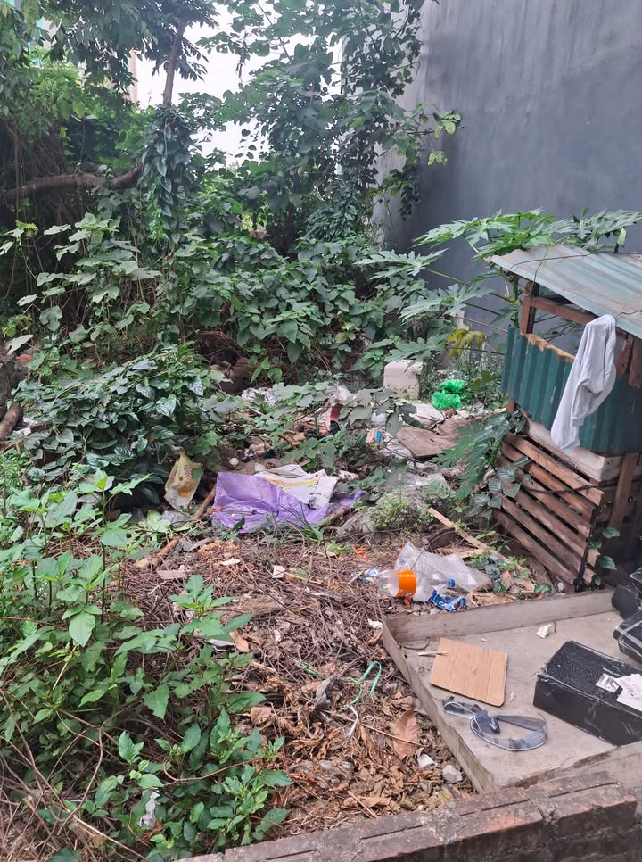 Đất Đặng Xá, Gia Lâm 44m² giá 3 tỷ - Sổ đỏ chính chủ, đầu tư sinh lời!