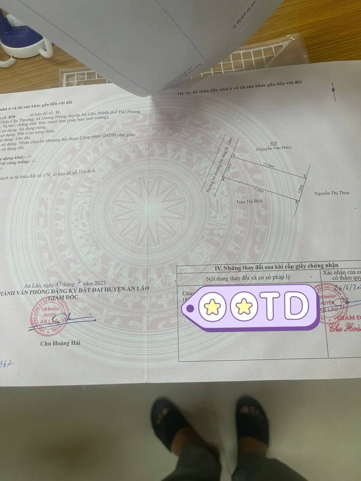 Đất nền Câu Thượng, An Lão, Hải Phòng 78.4m² - Vị trí đẹp, dân cư đông đúc!