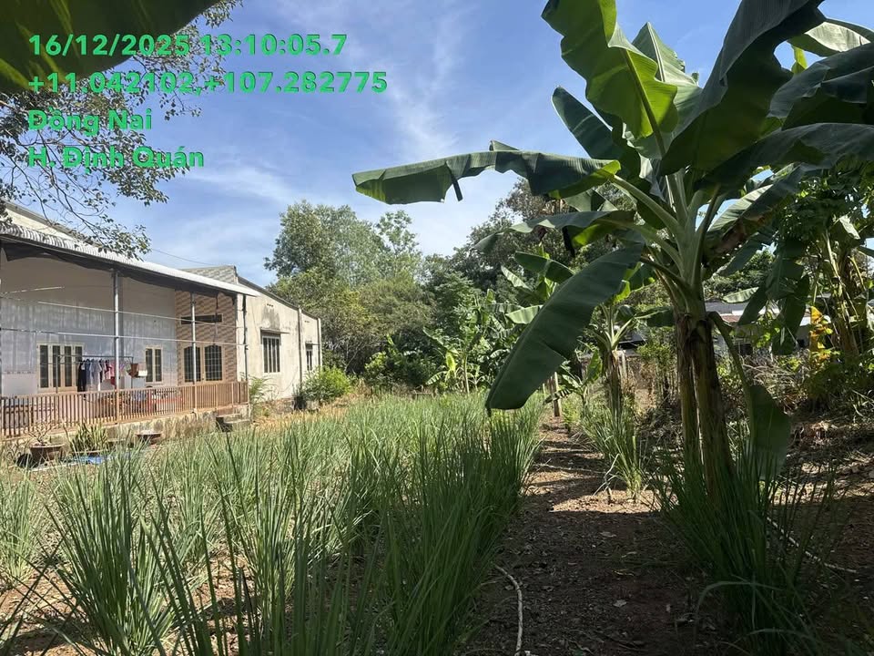 Lô đất thổ cư 217m² tại xã Suối Nho, huyện Định Quán, giá 1.125 tỷ - Cơ hội đầu tư tuyệt vời!