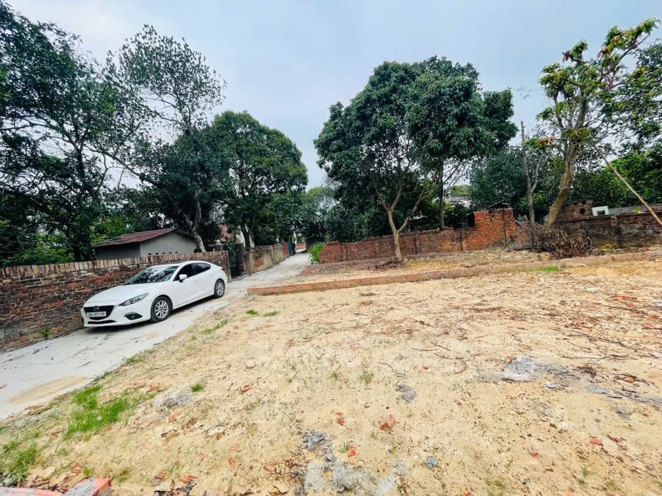 Đất nền Thái Lai, Sóc Sơn 140m² chỉ 14 triệu/m² - Cơ hội đầu tư tuyệt vời!