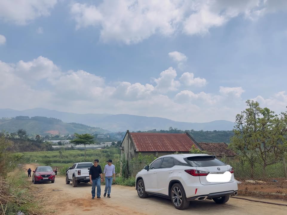 Đất nền 994m² tại Nam Ban, Lâm Đồng - Giá chỉ 2.6 tỷ, sổ đỏ chính chủ!