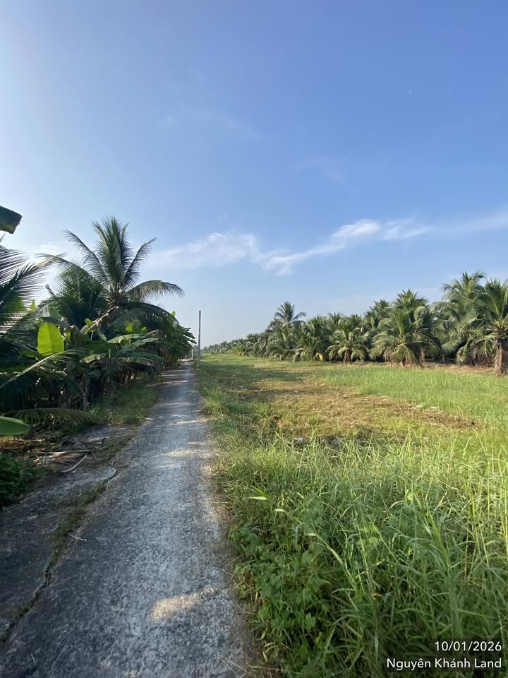 Đất nền Phường Phú Tân 1277m² giá 1 tỷ - Cơ hội đầu tư sinh lời!