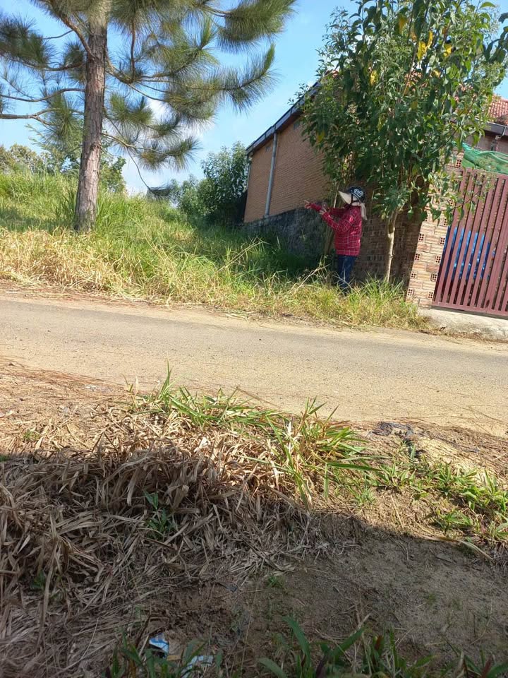 Đất thổ cư Lộc An 931m² giá chỉ 850 triệu - Cơ hội đầu tư hấp dẫn!