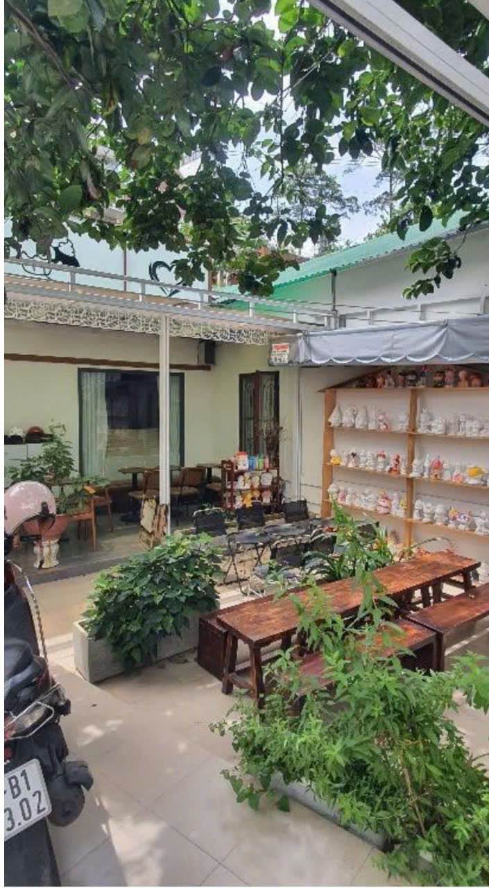 Bán đất mặt tiền Hà Huy Tập Đà Lạt 353,75m² giá 24,9 tỷ - Cơ hội đầu tư hấp dẫn!