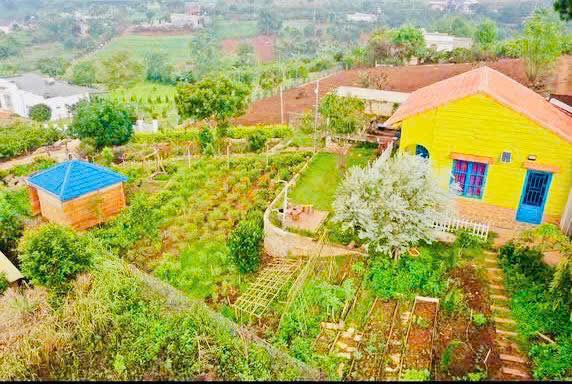 Đất Nam Ban, Lâm Hà 550m² giá 1.45 tỷ - View đẹp, không khí trong lành!