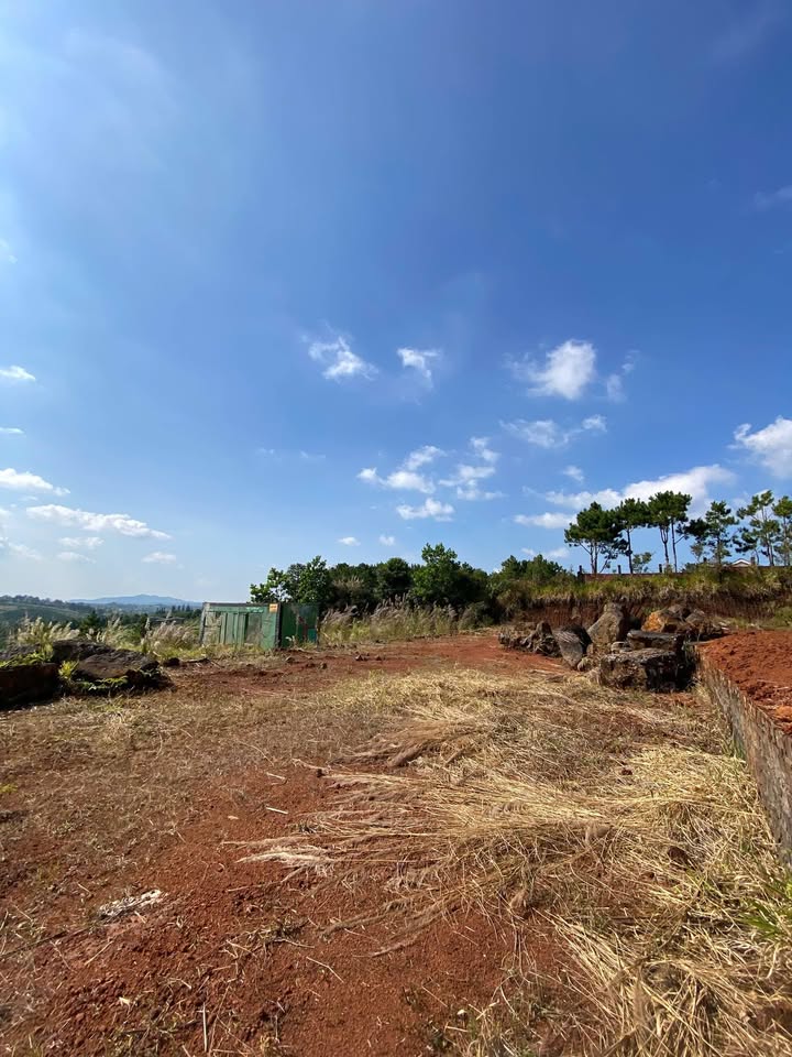 Đất nền Bảo Lộc 625m² giá từ 1.25 tỷ - Cơ hội đầu tư tuyệt vời!