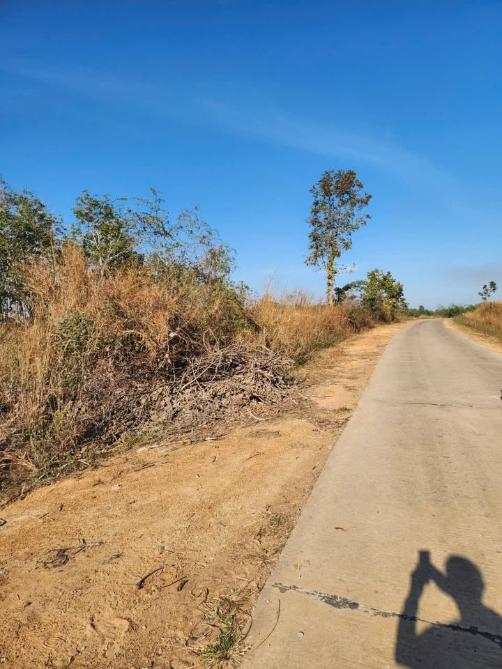 Đất vườn xã Ea Lê, huyện Ea Súp, Đắk Lắk 31.000m² giá 2.7 tỷ - Cơ hội đầu tư hấp dẫn!