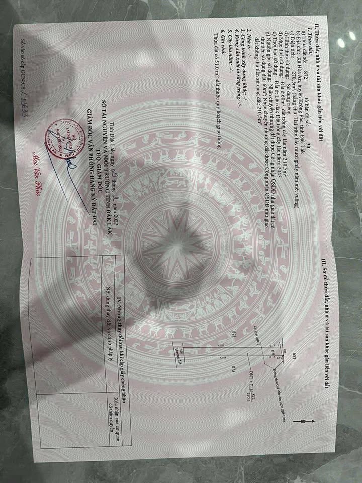 Đất nền Buôn Krưng, Tân Lập, 260m² giá 7 tỷ - Vị trí đắc địa, pháp lý rõ ràng!