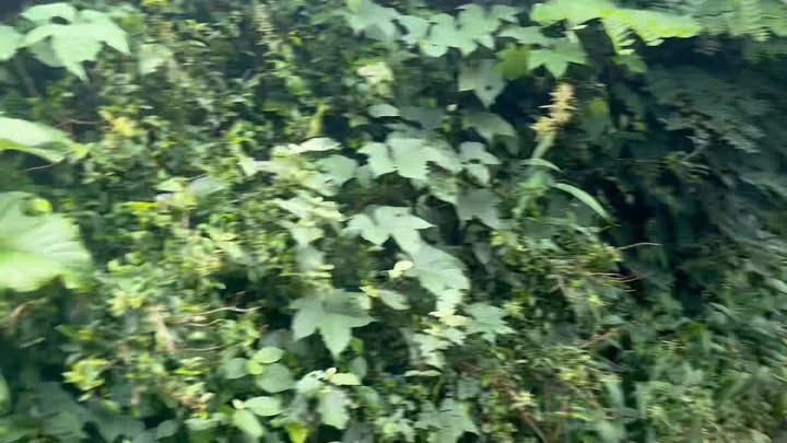 Farm Hòa Tiến, Krông Pắc 10,800m² giá 2 tỷ - Đất đỏ màu mỡ, sẵn sàng sản xuất!