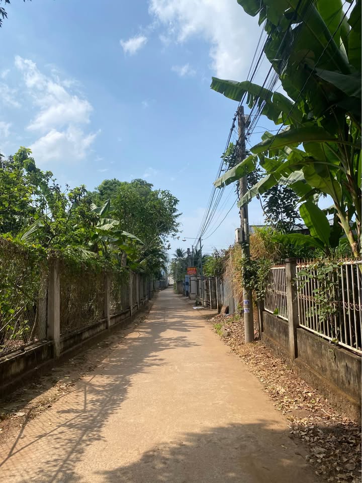 Đất thổ cư Phú Túc, Định Quán - Diện tích 150m² giá từ 950 triệu - Cơ hội đầu tư hấp dẫn!