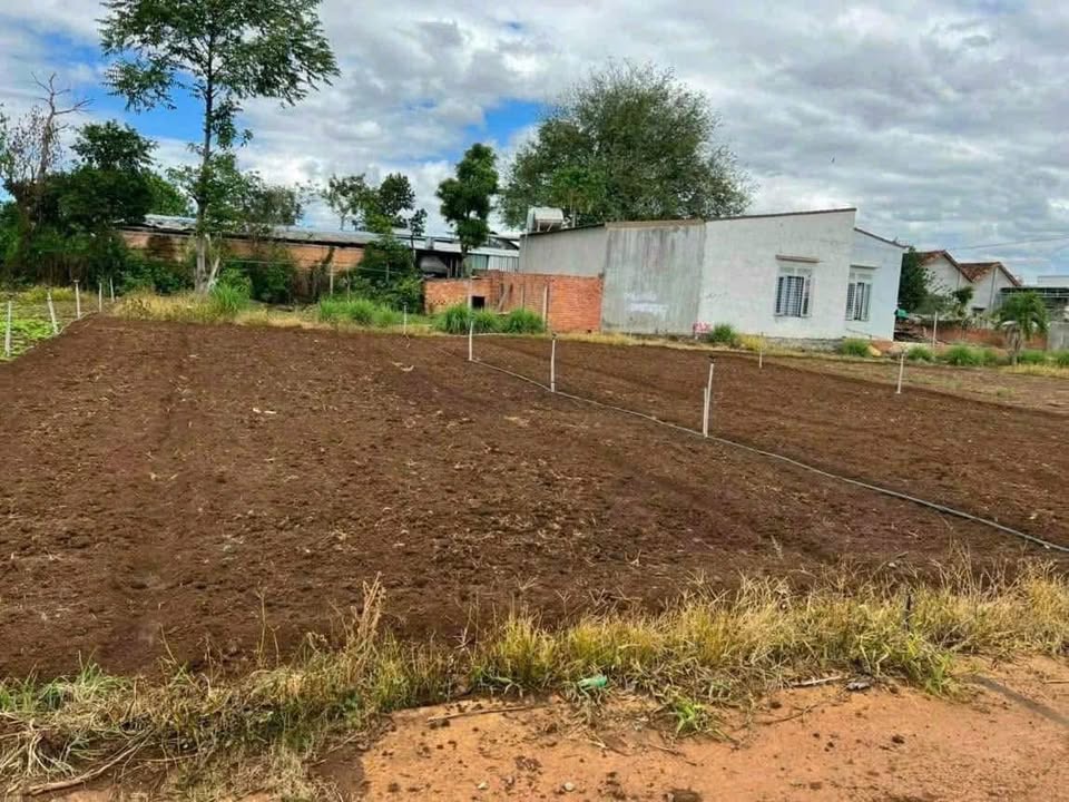 Đất nền Hòa Phú, Buôn Ma Thuột 155m² giá 850 triệu - Thổ cư 100%, sổ sẵn!