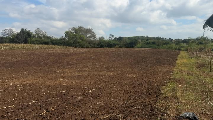 Đất nền thị trấn Ea Kar Đắk Lắk 25920m² giá 800 triệu - Đầu tư sinh lời tốt!