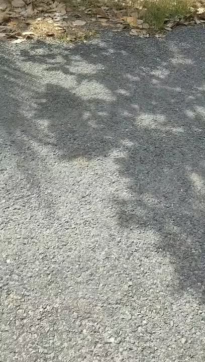 Đất thổ cư 60.000m² tại xã Tân Kiều, Đồng Tháp giá 1.8 tỷ - Cơ hội đầu tư hấp dẫn!