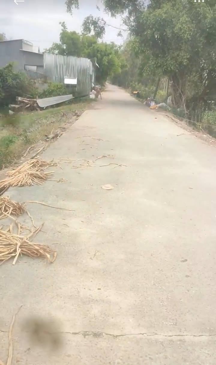 Đất nông nghiệp 38 công tại Phú Cường, Tam Nông - Giá chỉ 182.4 tỷ!