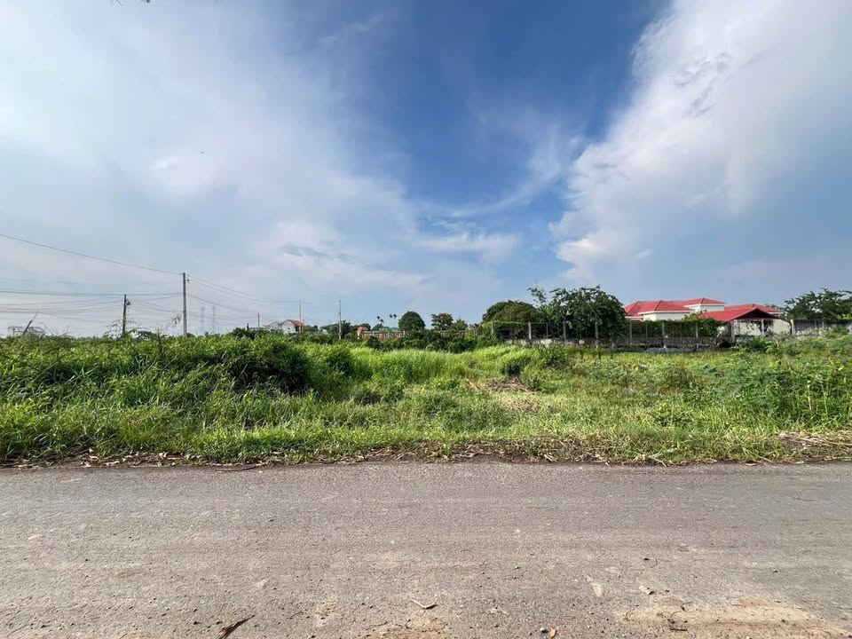 Đất Mặt Tiền Đường Út An, Thị Trấn Đức Hòa 115m² giá 1.45 tỷ - Cơ hội đầu tư tuyệt vời!