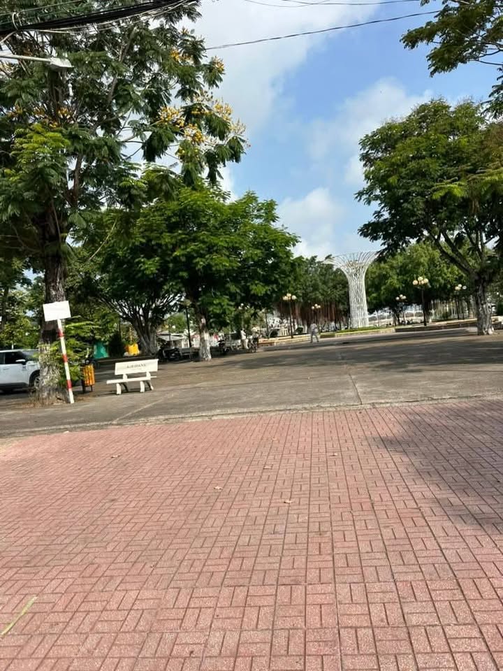 Đất nền Gò Công Đông 3509m² giá 12 tỷ - Mặt tiền đường nhựa, kinh doanh thuận lợi!