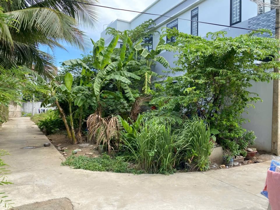 Đất thổ cư Phường 9, Mỹ Tho 100m² giá 900 triệu - Đầu tư sinh lời tốt!