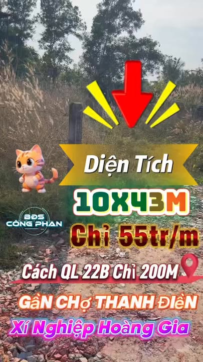 Đất nền 430m² tại Xã Thanh Điền, 550 triệu - Cơ hội đầu tư không thể bỏ lỡ!