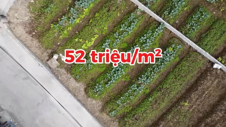 Đất nền lô góc tại Phường Hiến Nam, Hưng Yên 183m² giá 9.579 tỷ - Đầu tư sinh lời nhanh!