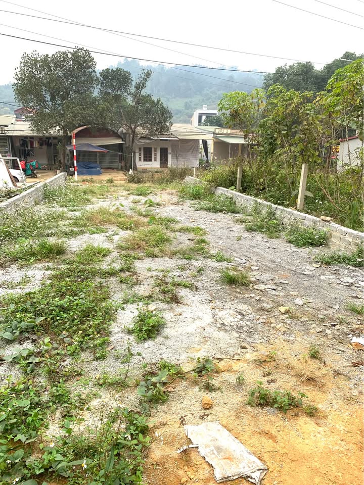 Đất nền Trần Thái Tông, Bát Xát, Lào Cai 100m² giá 1.8 tỷ - Cơ hội vàng không thể bỏ lỡ!